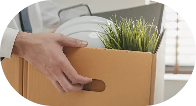 Bir el, içinde ev bitkisi bulunan bir taşınma kutusunu tutuyor; taşınma, paketleme ve düzenli taşınma sürecini simgeliyor.