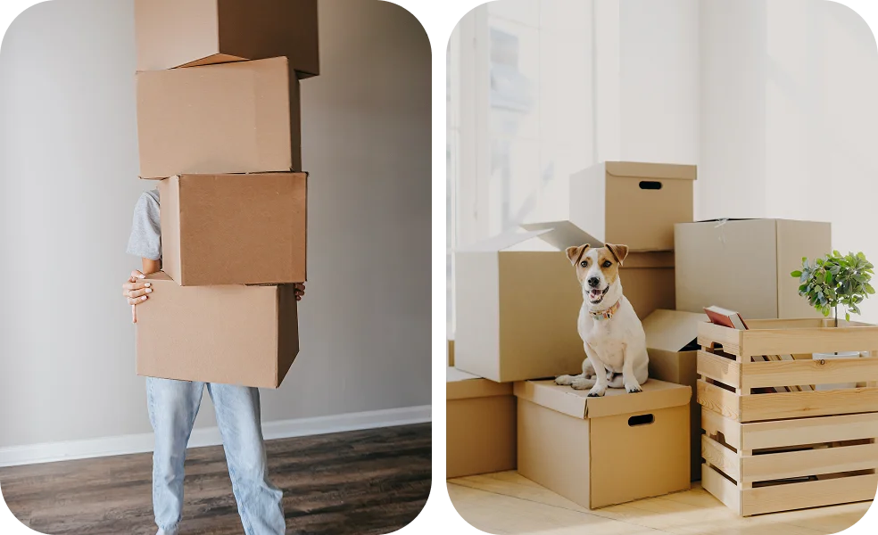 İçeriye üst üste konmuş kutuları taşıyan kişi, taşınma, paketleme ve taşıma sürecini tasvir ediyor. Yeni bir evde üst üste konmuş kutuların üzerinde oturan sevimli köpek, evcil hayvan dostu taşınmayı ve maksimum konforu simgeliyor.